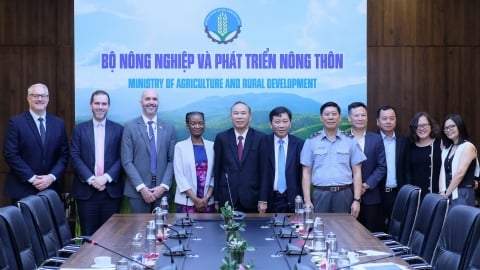 Đề xuất Hoa Kỳ hỗ trợ Việt Nam trong thực thi pháp luật thủy sản
