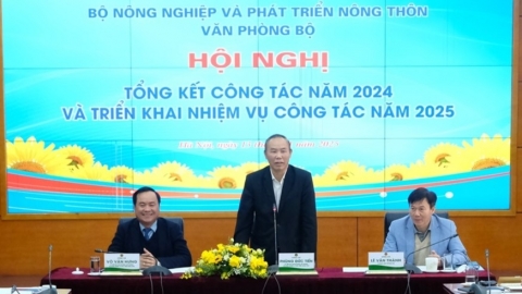 Khối văn phòng đóng góp vào thành công của ngành nông nghiệp năm 2024