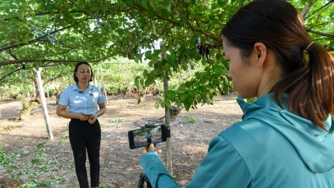 Khuyến nông Hải Phòng dùng trí tuệ nhân tạo viết kịch bản clip