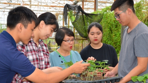 Các trường phải đào tạo sao cho sinh viên tốt nghiệp có thể làm được ngay