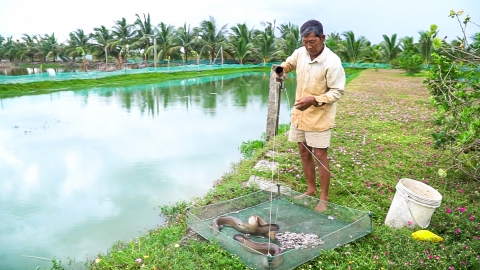 Nông dân hướng dẫn lắp lưới, hạ mực nước bảo vệ thủy sản mùa mưa, bão