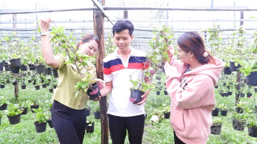 Bảo tồn loài hoa 'viên mãn'