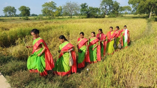 Women in West Bengal’s Jhargram take on patriarchy-  by growing their own organic paddy