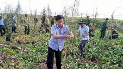 Trà Vinh phấn đấu hoàn thành chỉ tiêu trồng 2,1 triệu cây xanh