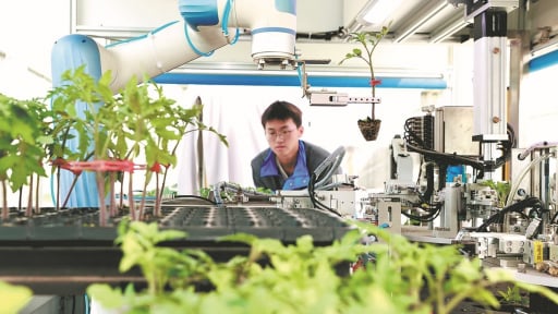 Tech, talent needed to boost food security