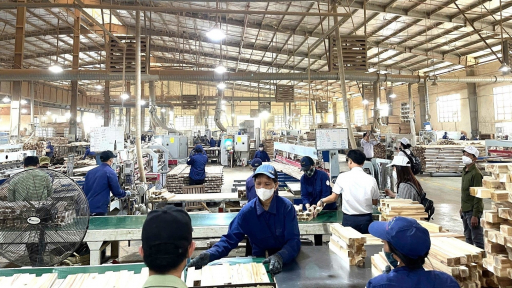 Tương lai bền vững cho ngành gỗ: [Bài 2 ] Doanh nghiệp lo chính sách thuế