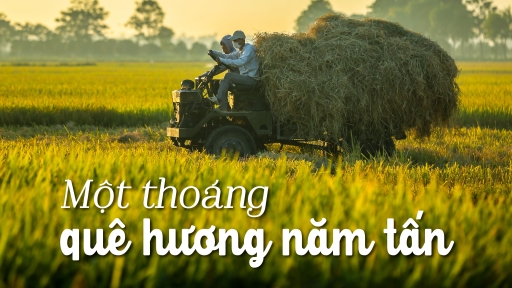 Một thoáng quê hương năm tấn