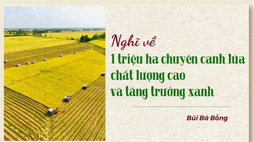 Nghĩ về 1 triệu ha chuyên canh lúa chất lượng cao và tăng trưởng xanh