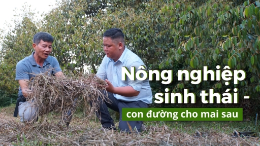 Cỏ dại là bạn, không phải kẻ thù