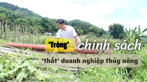 'Tròng' chính sách 'thắt' doanh nghiệp thủy nông [Bài 2]: Ngày đi làm 50-70km để lấy 130.000 đồng