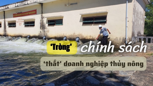 'Tròng' chính sách 'thắt' doanh nghiệp thủy nông [Bài 7]: ‘Gồng’ hết sức vẫn không thoát khó