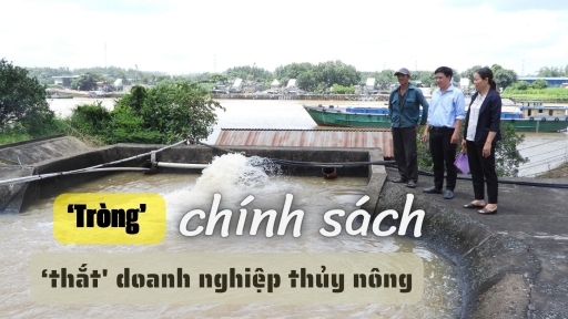 [Bài 6] Thủy lợi chuyển sang dịch vụ khó trăm bề