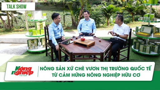 Nông sản xứ chè vươn thị trường quốc tế từ cảm hứng nông nghiệp hữu cơ