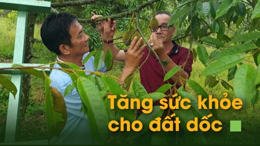 Cỏ dại là bạn, chỉ quản lý chứ không tiêu diệt