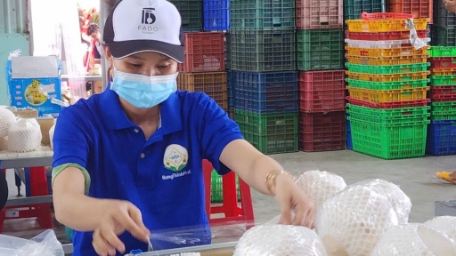 Tien Giang urges investment to encourage development of coconut industry