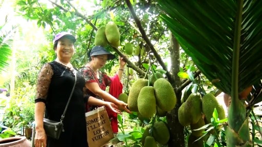 Liên kết làm du lịch sinh thái cho thu nhập tăng gấp 3 lần