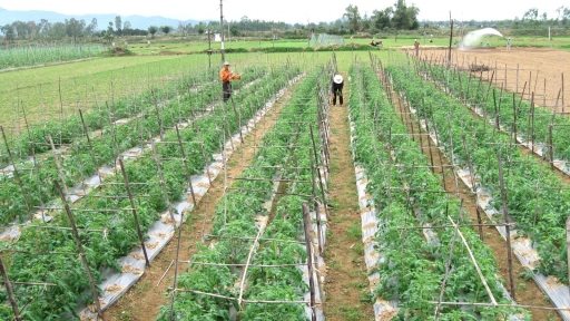 Huyện trung du nỗ lực ‘níu chân’ nhà đầu tư