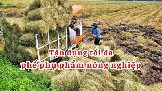 Tận dụng tối đa phế phụ phẩm nông nghiệp