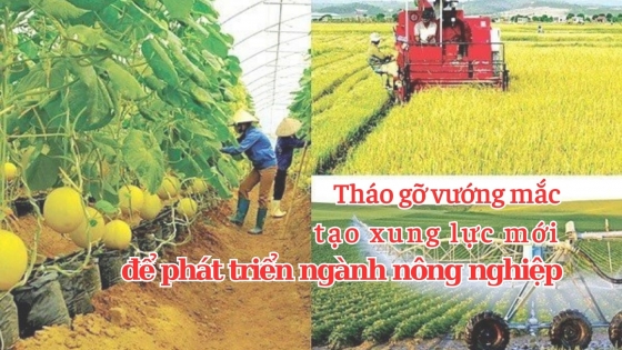 Tháo gỡ vướng mắc, tạo xung lực mới để phát triển ngành nông nghiệp