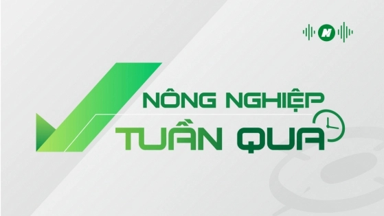 Ngành nông nghiệp bình tĩnh ứng phó với biến động thị trường