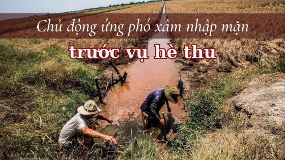 Chủ động ứng phó xâm nhập mặn trước vụ hè thu