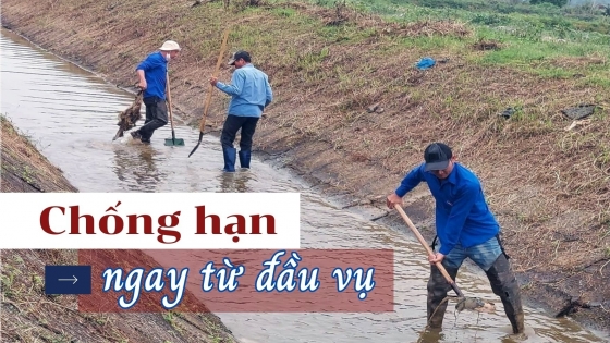 Chống hạn ngay từ đầu vụ để đảm bảo nguồn nước sản xuất