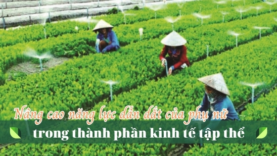 Nâng cao năng lực dẫn dắt của phụ nữ trong thành phần kinh tế tập thể