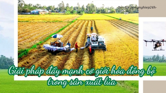 Giải pháp đẩy mạnh cơ giới hóa đồng bộ trong sản xuất lúa