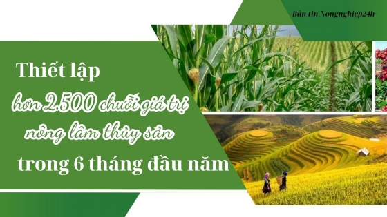 Thiết lập hơn 2.500 chuỗi giá trị nông lâm thủy sản trong 6 tháng đầu năm