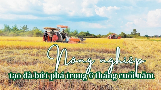 Ngành nông nghiệp tạo đà bứt phá trong 6 tháng cuối năm