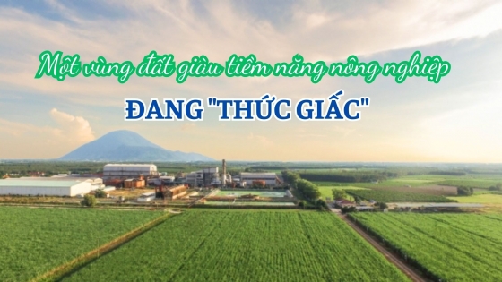 Một vùng đất giàu tiềm năng nông nghiệp đang 'thức giấc'