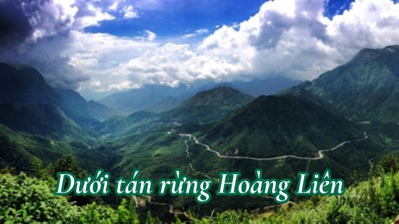 Dưới tán rừng Hoàng Liên