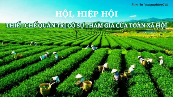 Hội, Hiệp hội – thiết chế quản trị có sự tham gia của toàn xã hội