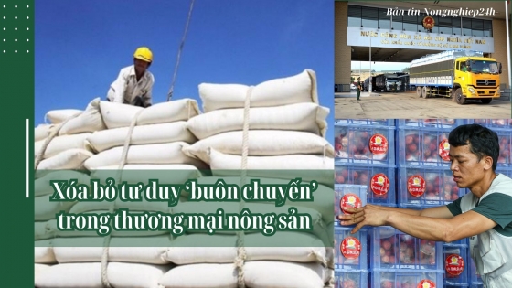 Xóa bỏ tư duy ‘buôn chuyến’ trong thương mại nông sản