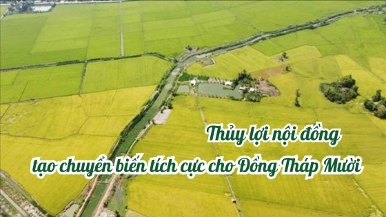 Thủy lợi nội đồng tạo chuyển biến tích cực cho Đồng Tháp Mười