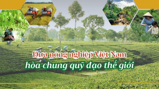 Đưa nông nghiệp Việt Nam hòa chung quỹ đạo thế giới