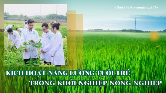 Kích hoạt năng lượng tuổi trẻ trong khởi nghiệp nông nghiệp