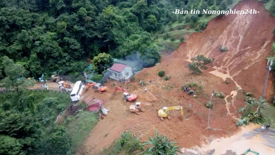 Tây Nguyên cần giải pháp 'bền' trong phát triển