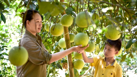 Một vùng 'nông nghiệp tốt' đang hình thành