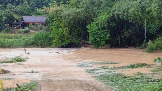 'Đánh cược' với số phận khi vượt sông, suối trong mưa lũ