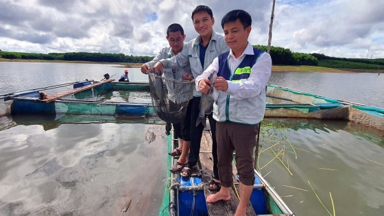 Triển vọng từ các đối tượng nuôi mới trên lòng hồ thủy lợi