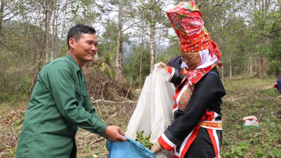 Dân giữ rừng, rừng tạo sinh kế