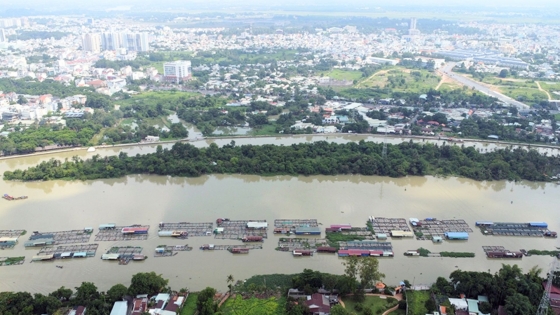 Bản tin Thủy sản ngày 13/11/2023: Di dời lồng bè cá để thi công cầu