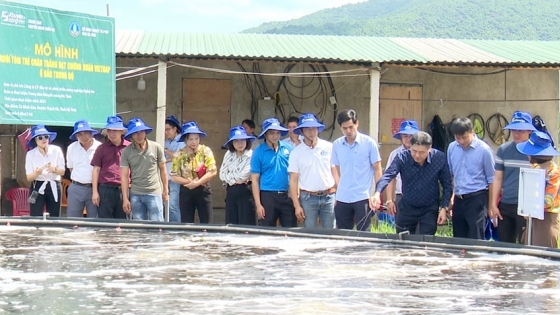 Bản tin Thủy sản ngày 5/12/2023: Trao chứng nhận VietGAP cho cơ sở nuôi tôm