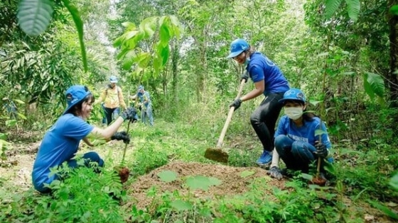 Xã hội hóa để phát huy giá trị đa dụng của rừng