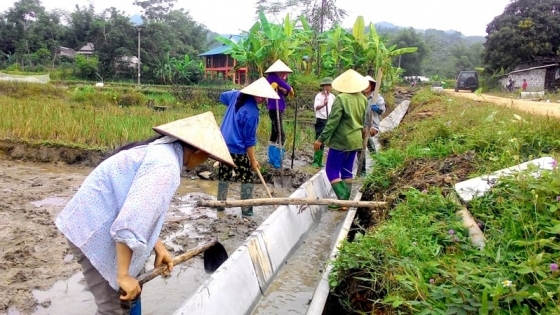 Thủy lợi an toàn để ruộng đồng no nước