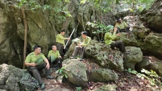 Gian nan bảo vệ rừng giữa trung tâm di sản thiên nhiên thế giới