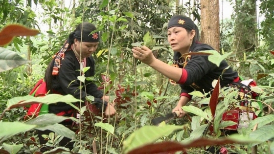 Tìm mô hình du lịch đặc hữu cho Vườn quốc gia Ba Vì