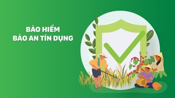 Bảo hiểm Bảo an tín dụng mang đến sự yên tâm cho khách hàng