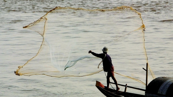 Bản tin Thủy sản ngày 12/1/2024: Tự giác trong bảo vệ nguồn lợi thủy sản